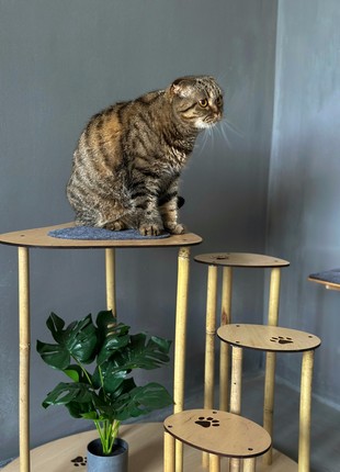Big floor stand - Cat’s Paw with 5 steps