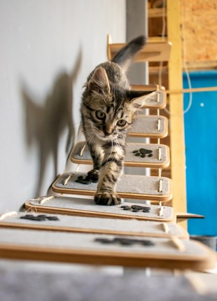 Bridge with stairs for cats