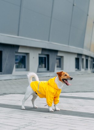 Dog raincoat moss yellow m4108/xs