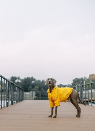 Dog raincoat moss yellow m4108/6xl