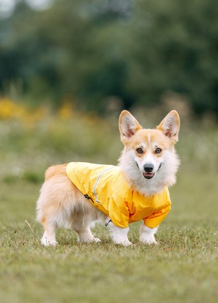 Dog raincoat moss yellow m4108/l-long