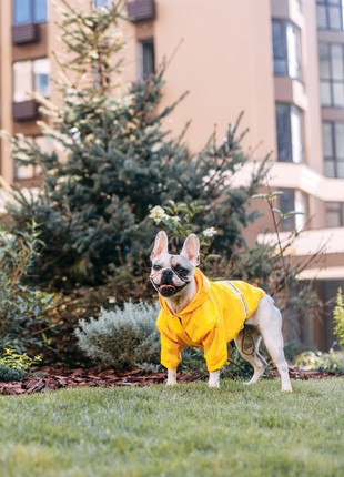 Dog raincoat moss yellow m4108/m-short