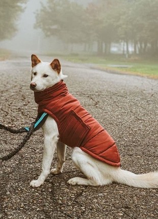 Dog down jacket bobby terracotta b4117/4xl2 photo