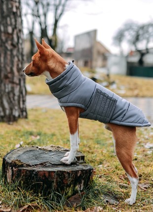 Dog down jacket bobby navy b4118/5xl