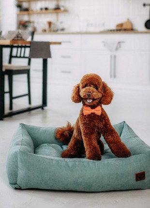 Dog bed albert turquoise (al2134)