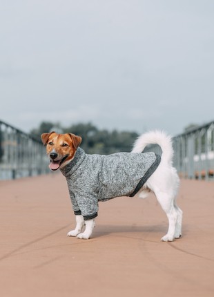 Dog sweatshirt frederick grey fr4111/5xl