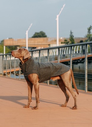 Dog coat patrick grey p4116/5xl