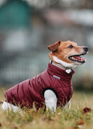 Dog jacket scotty bordo s4121/s