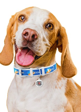 WAUDOG Design genuine leather dog collar, "Flag" design, XL, W 35 mm, L 46-59 cm White2 photo