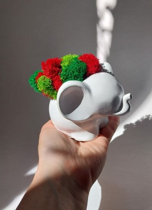 Gypsum Elephant with Preserved Green and Red Moss