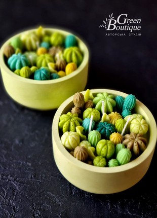 Scented Coco Apricot Creme candle Crystal lime cactus2 photo