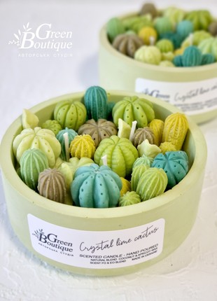 Scented Coco Apricot Creme candle Crystal lime cactus5 photo
