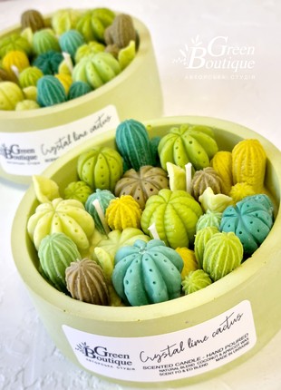 Scented Coco Apricot Creme candle Crystal lime cactus3 photo