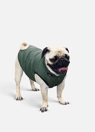 Dog jacket scotty bottle green s4122/m