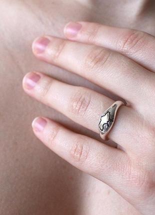 Ukraine ring4 photo