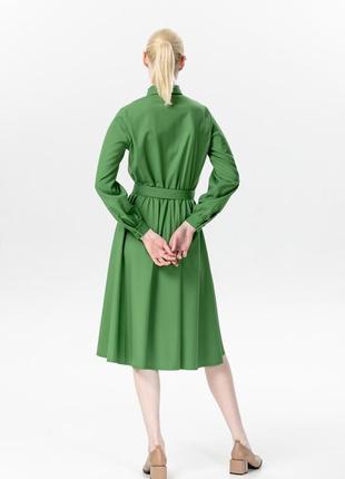 Green dress under the belt 1005354 photo