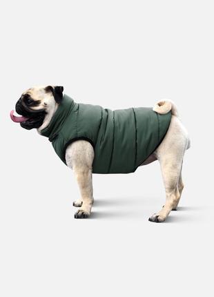 Dog jacket scotty bottle green s4122/s