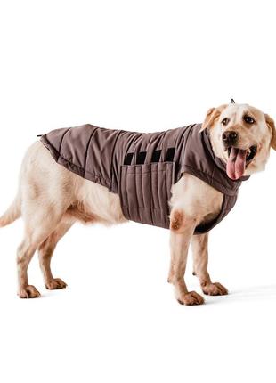Dog down jacket bobby navy b4118/5xl