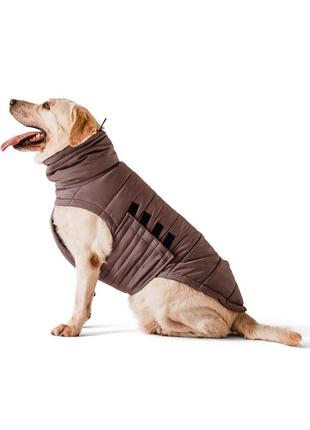 Dog down jacket bobby navy b4118/6xl3 photo