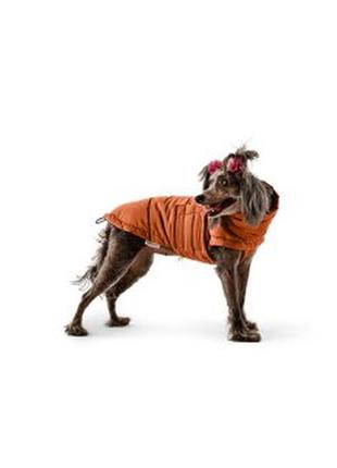 Dog Down jacket Bobby Terracotta B4117/7XL3 photo