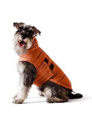 Dog down jacket bobby terracotta b4117/5xl