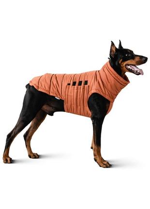Dog down jacket bobby terracotta b4117/4xl3 photo