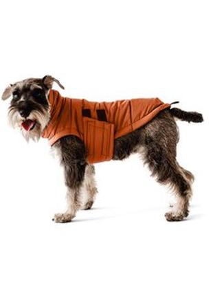 Dog down jacket bobby terracotta b4117/m2 photo