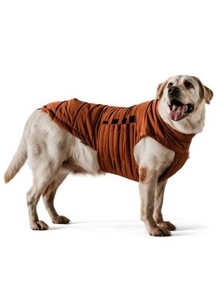 Dog down jacket bobby terracotta b4117/m
