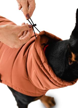 Dog down jacket bobby terracotta b4117/l5 photo