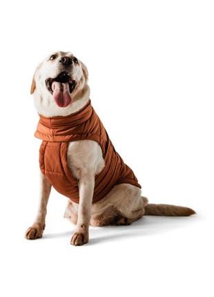Dog down jacket bobby terracotta b4117/3xl