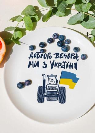 Plate ORNER good evening, we are from ukraine (orner-1687)2 photo