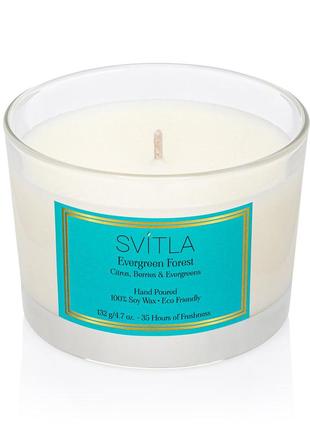 EVERGREEN FOREST scented candle by SVITLA2 photo