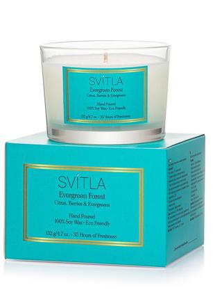 EVERGREEN FOREST scented candle by SVITLA