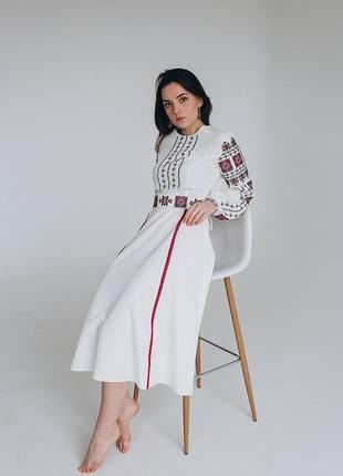 Embroidered dress1 photo