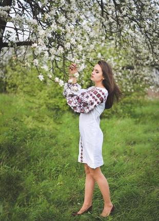 Emroidered dress5 photo