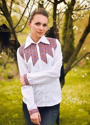 Embroidered blouse1 photo
