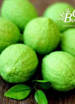 Souvenir soap Lime box2 photo