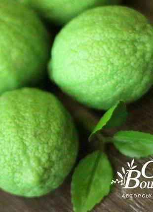 Souvenir soap Lime box3 photo
