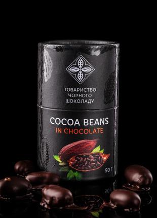 Cocoa beans in chocolate2 photo