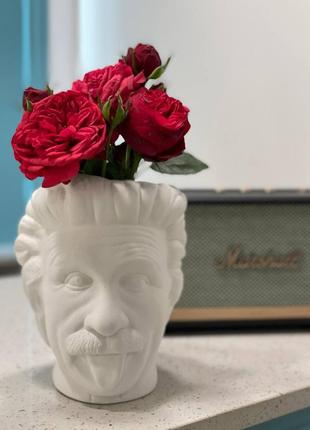 Art Flowerpot Einstein