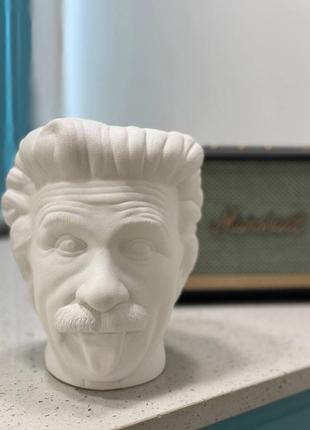 Art Flowerpot Einstein2 photo