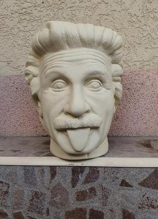 Art Flowerpot Einstein4 photo
