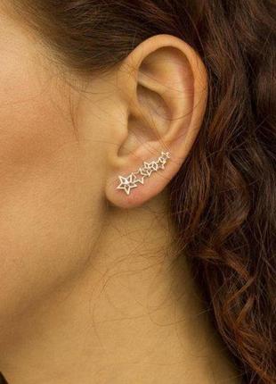 Zori earrings1 photo