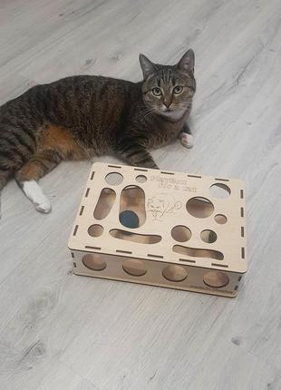 Play box for a cat7 photo