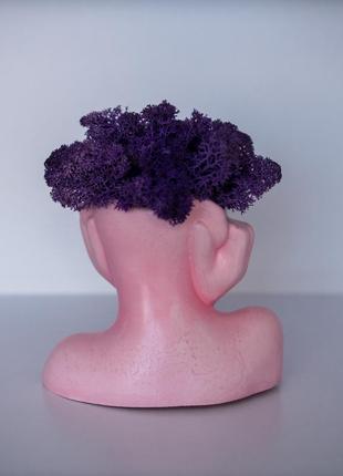 Elegant flower pot lady with violet moss, which brings good luck4 photo