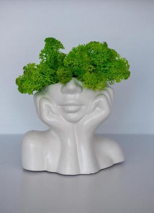 Elegant flower pot lady with light green moss, which brings good luck