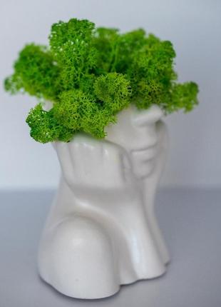 Elegant flower pot lady with light green moss, which brings good luck3 photo