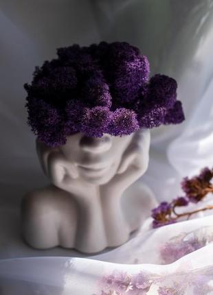 Elegant flower pot lady with purple moss, which brings good luck4 photo