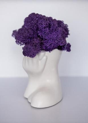 Elegant flower pot lady with purple moss, which brings good luck5 photo
