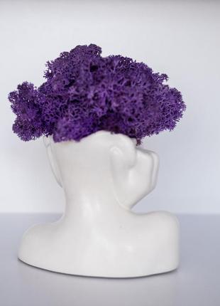 Elegant flower pot lady with purple moss, which brings good luck6 photo